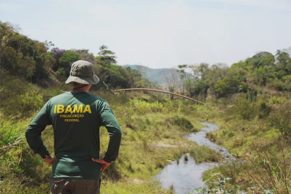 Brasil: O que é o Ibama – Funções, Serviços, Como é feita a fiscalização?