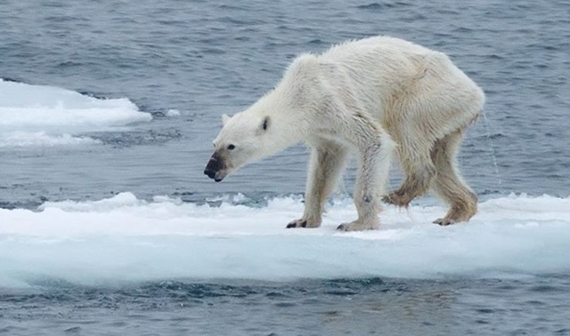 Geografia: O que é Aquecimento Global? Aprenda Sobre o Fenômeno