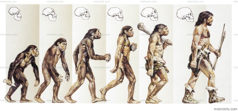 como ocorre a evolução?