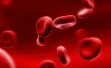 Tipos de Sangue – Entenda os Tipos Sanguíneos e Como Funcionam 