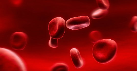 Biologia: Tipos de Sangue – Entenda os Tipos Sanguíneos e Como Funcionam