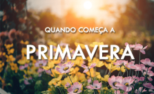 Quando começa a primavera? Data e hora do equinócio e as características da estação 