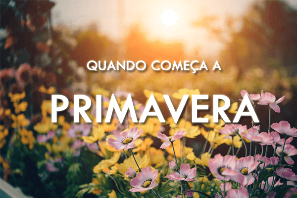 Geografia: Quando começa a primavera? Data e hora do equinócio e as características da estação