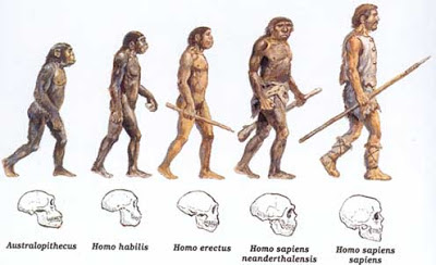 darwinismo macaco