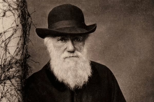 Biologia: Darwinismo – o que é? Darwinismo social e neodarwinismo: explicação com exemplos