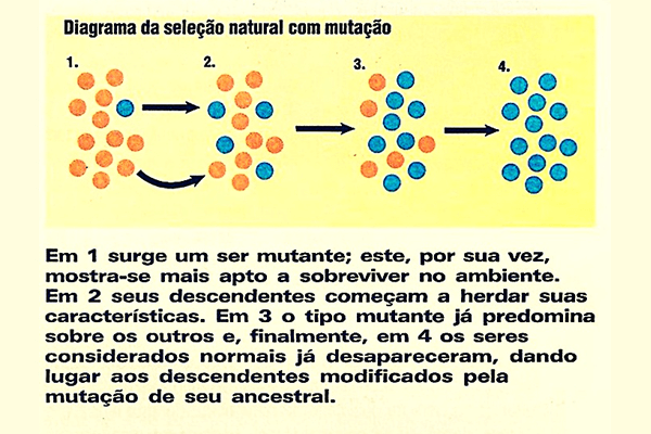 neodarwinismo