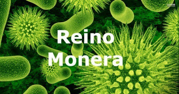 Reino Monera