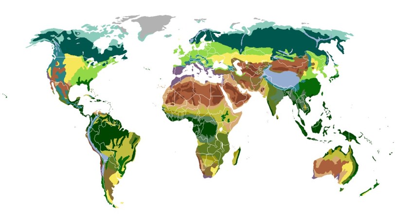 biomas mapa