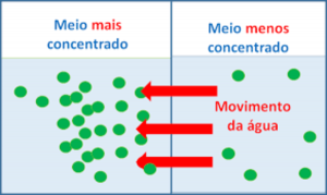 Propriedades coligativas