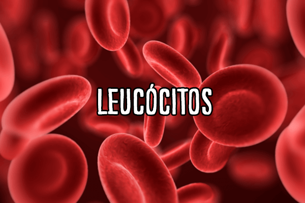 Biologia: Leucócitos – O que são? Importância e Valores de Referência