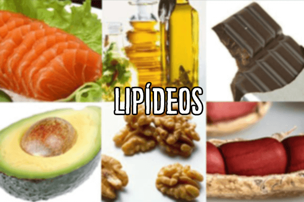 lipídeos