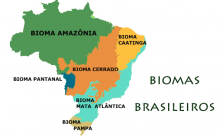 Biomas Brasileiros – Quais são? Características e Localização 