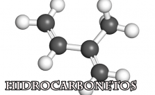 Hidrocarbonetos – O que são? Função, Nomenclatura e Exercícios 