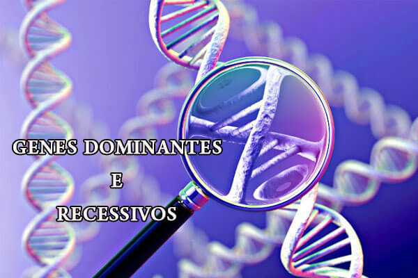 Biologia: Genes Dominantes e Recessivos – O que são? Composição e Características