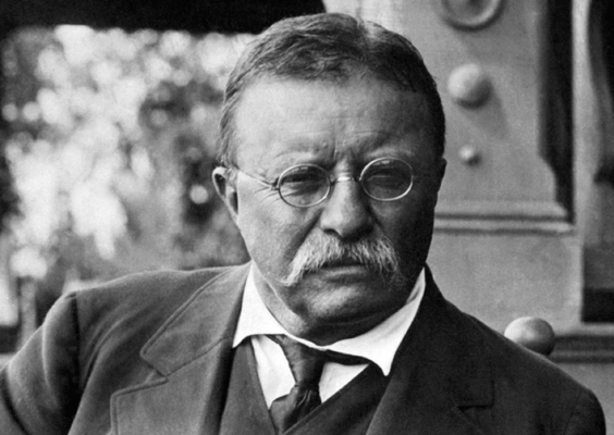 História: Theodore Roosevelt – Quem foi? Biografia e Principais Feitos