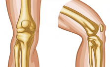 Articulações do Corpo Humano – O que são? Órgãos, Funções e Importância 