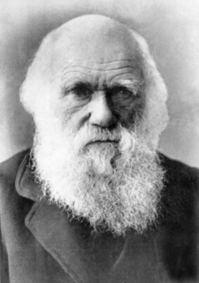 Darwin