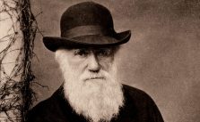 Charles Darwin – Quem foi? Biografia, Obras e Curiosidades 