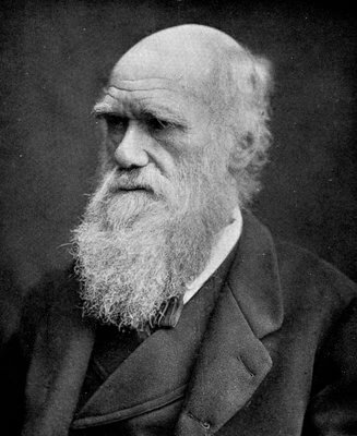 Darwin