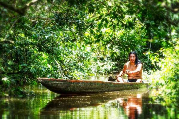 Biologia: Floresta Amazônica – Fauna, Flora, Clima, Extensão e Curiosidades