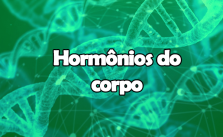 Hormônios – O que são? Como funcionam? Composição e Exercícios 