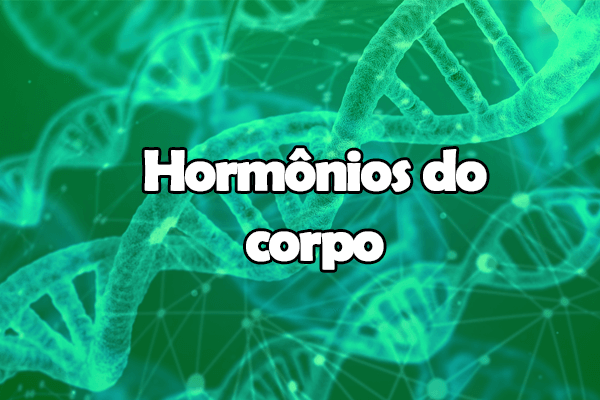 Biologia: Hormônios – O que são? Como funcionam? Composição e Exercícios