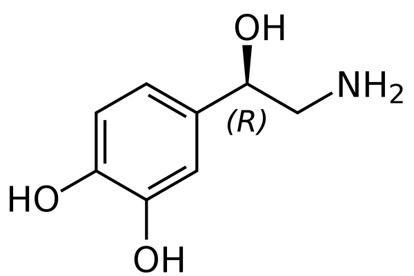 Noradrenalina