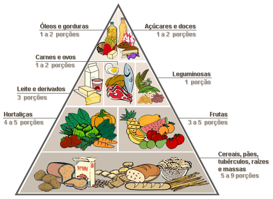 Biologia: Pirâmide Alimentar – O que é? Para que serve? Níveis e Modelo brasileiro