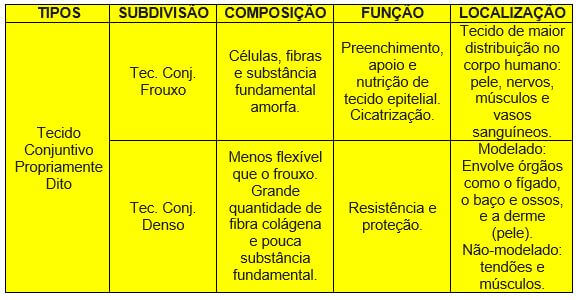 Tecido conjuntivo