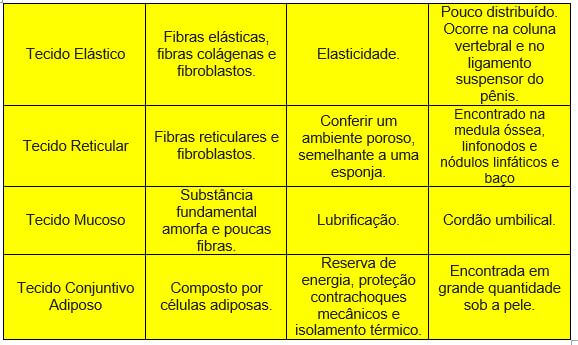 Tecido conjuntivo