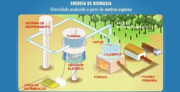 Biomassa