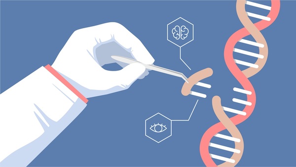 Biologia: Genética – Origem, O que estuda e Conceitos Básicos