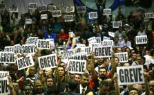 Greve – O que é? Como surgiu? Tipos e Exemplos 