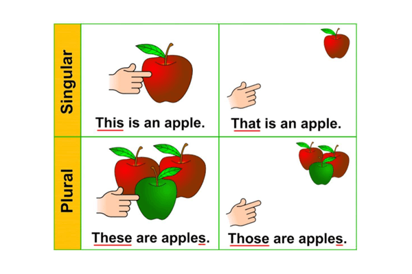 pronomes demonstrativos