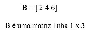 Matrizes