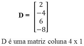 Matrizes