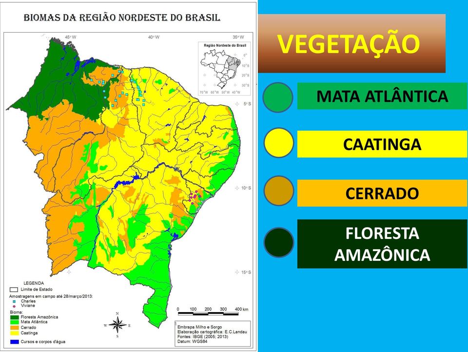 Mapa de Vegetação Região Nordeste Brasil 