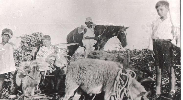 João Cabral de Melo Neto 