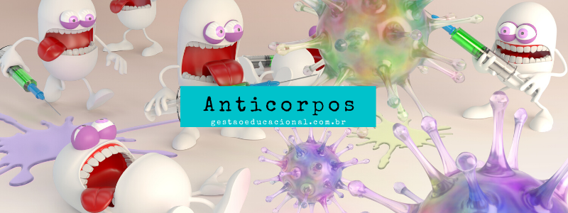 Anticorpos – O que, para que serve e como funcionam no corpo 