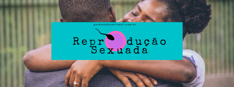 O que é reprodução sexuada