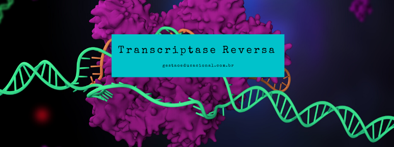 O que é transcriptase reversa?