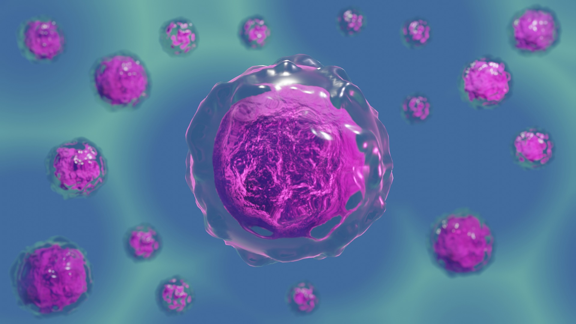 Mitose e Meiose – Qual a diferença? 