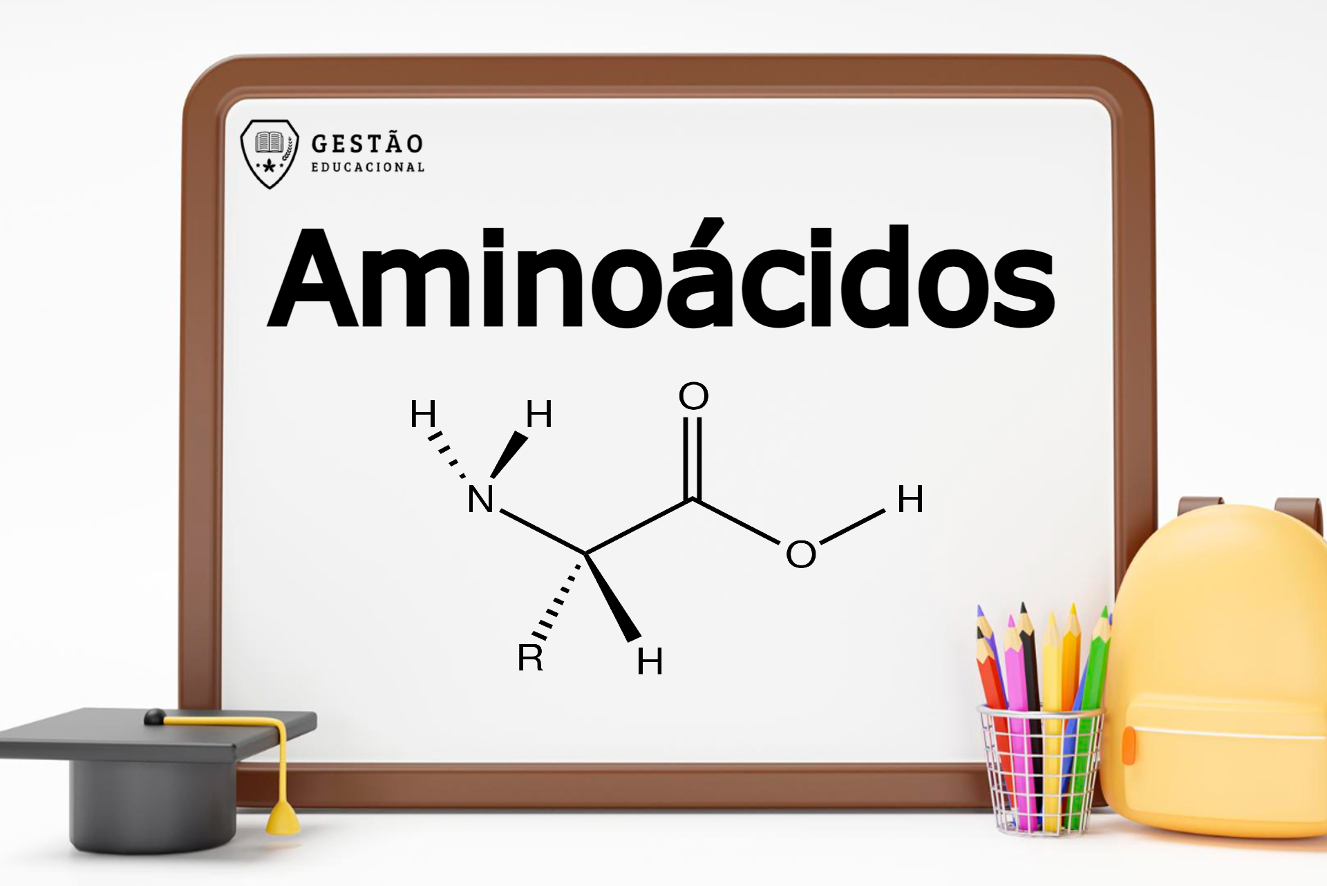 Aminoácido – O que é, para que serve e mais! 