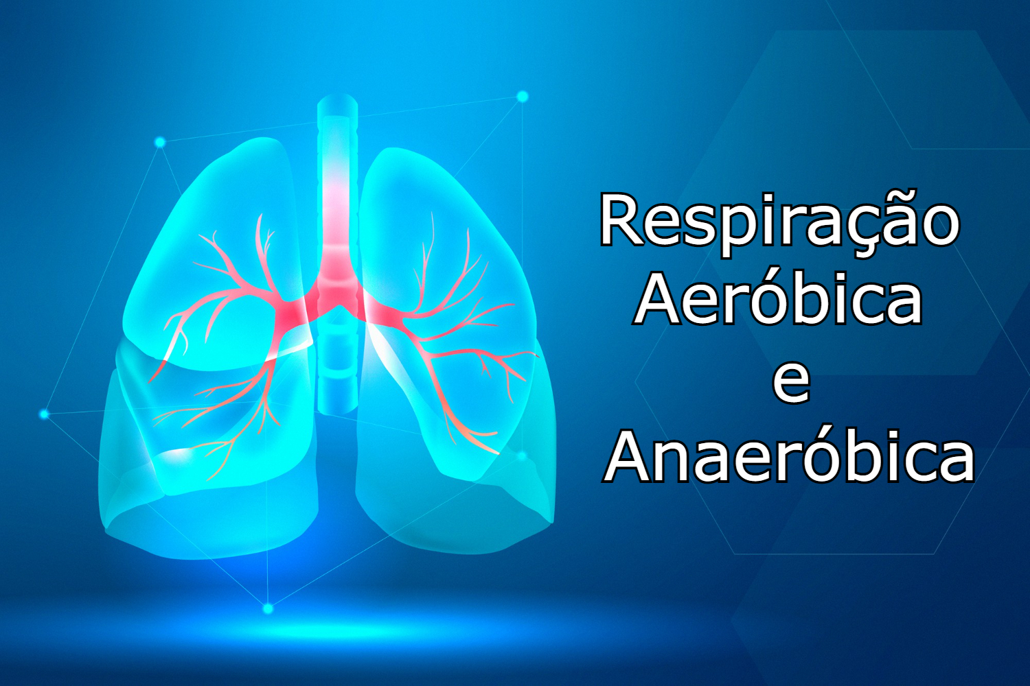 Biologia: Respiração Aeróbica e Anaeróbica: quais as diferenças?