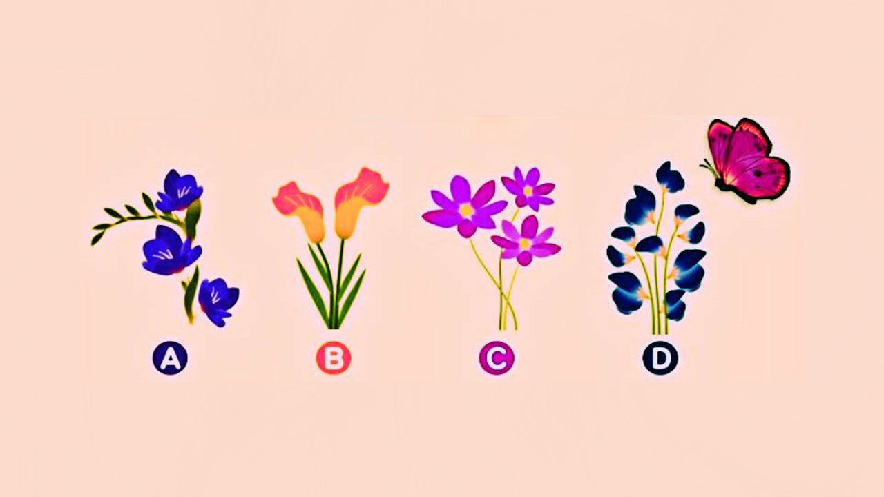 Testes: Teste de personalidade: em que flor a borboleta vai pousar? Responda e descubra sua forma de amar!