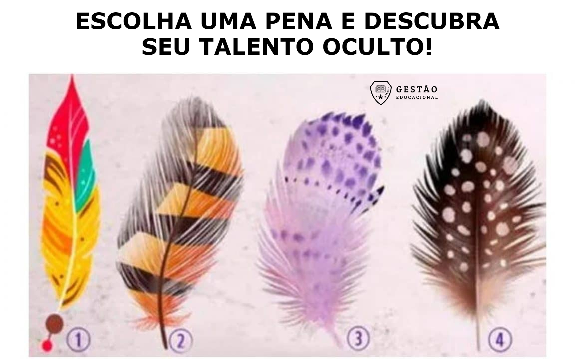 Escolha uma pena e revelaremos qual o seu TALENTO OCULTO! (Imagem: Reprodução/Pinterest)