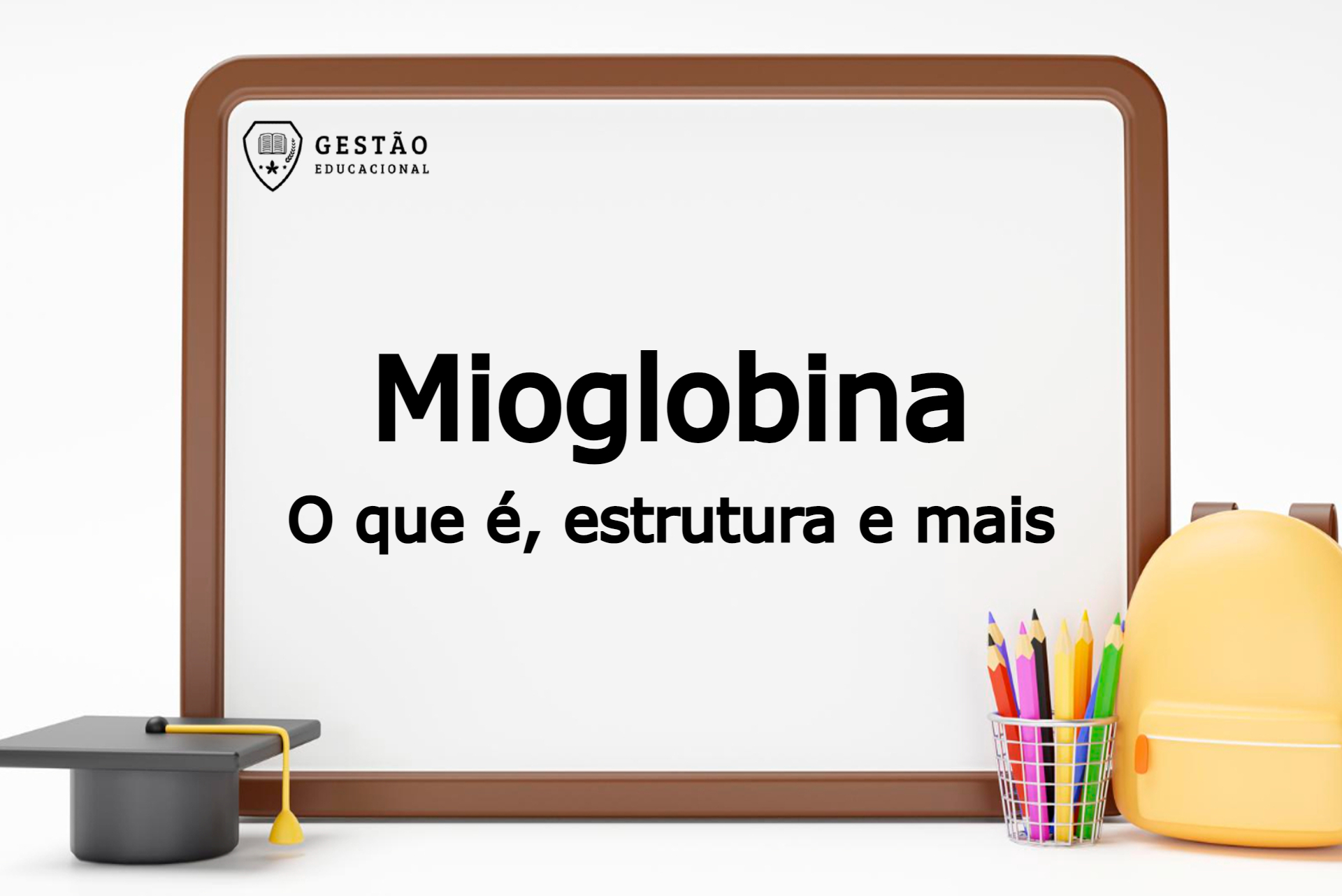 Biologia: Mioglobina – O que é, para que serve, como é formada e mais 