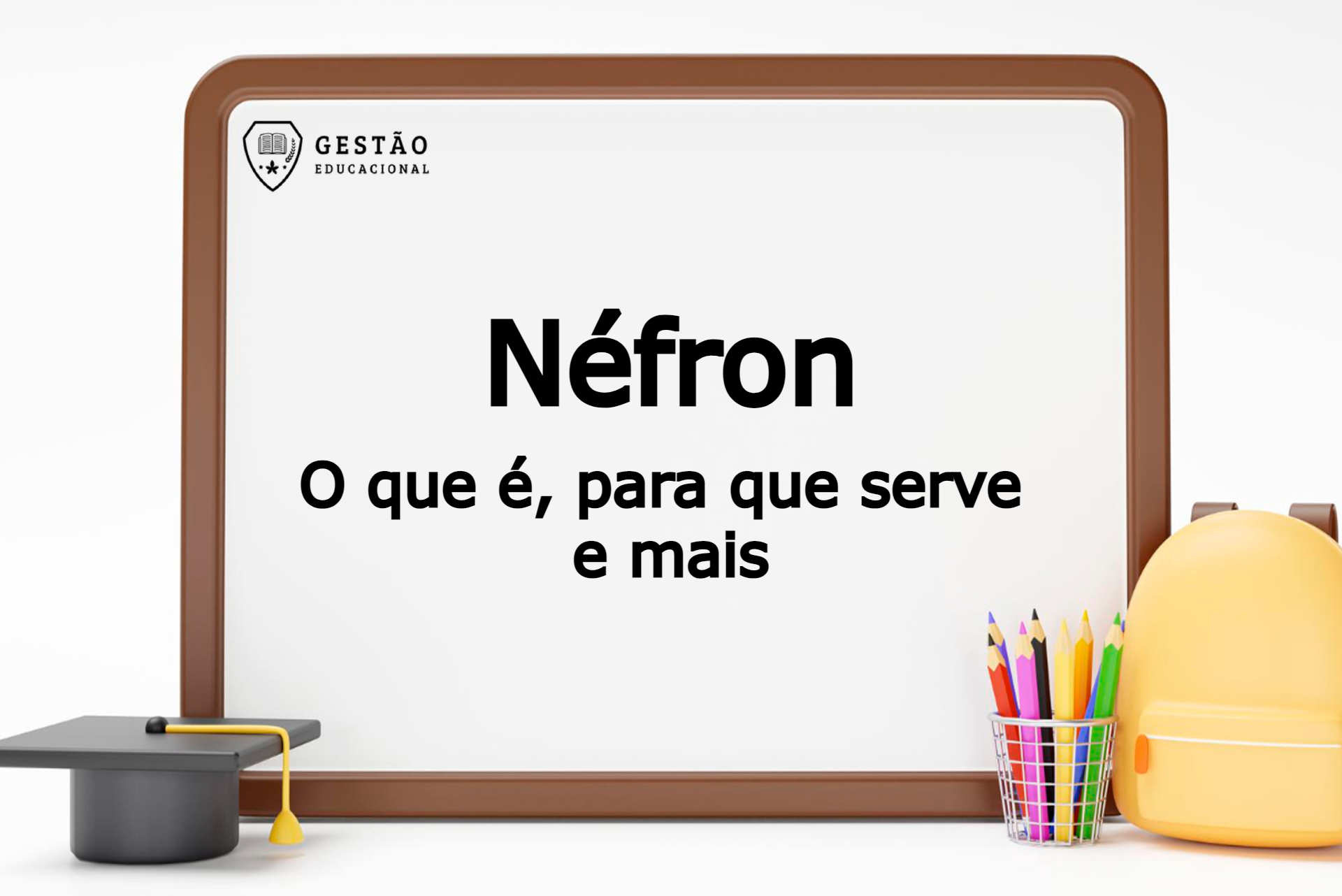 Néfron - O que é, para que serve e mais (Imagem: Gestão Educacional - Mamewmy - FreePik.com)