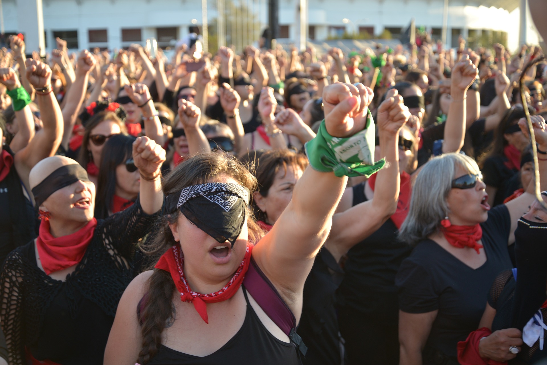 A história das mulheres na luta pelo Direito ao Voto (Imagem: Patricio Hurtado/Pixabay)