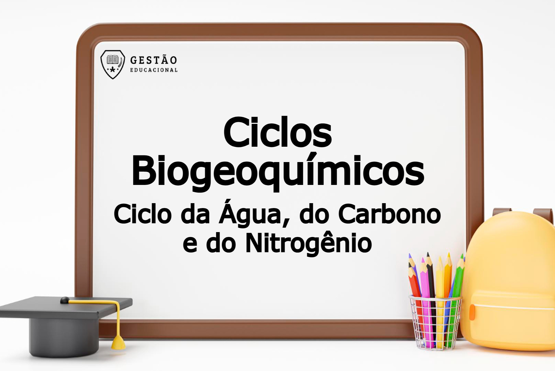 Ciclos biogeoquímicos: como os elementos químicos são transportados entre organismos e ambiente